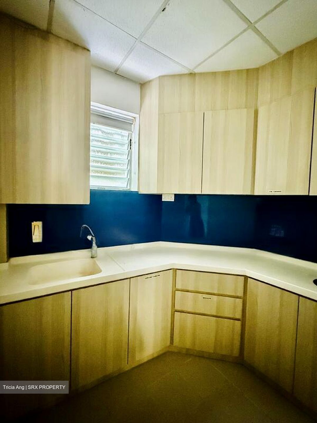 Upper Circular Road (D1), Office #459019101